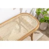 Cane Solid Wood Bench made with mango wood and cane detailing Aesthetic craft