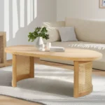 Oval Rattan Coffee Table – modern elegance Center Table
