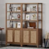 Tall wooden rattan bookshelf with cabinet doors, styled in a modern living room. Aesthetic craft