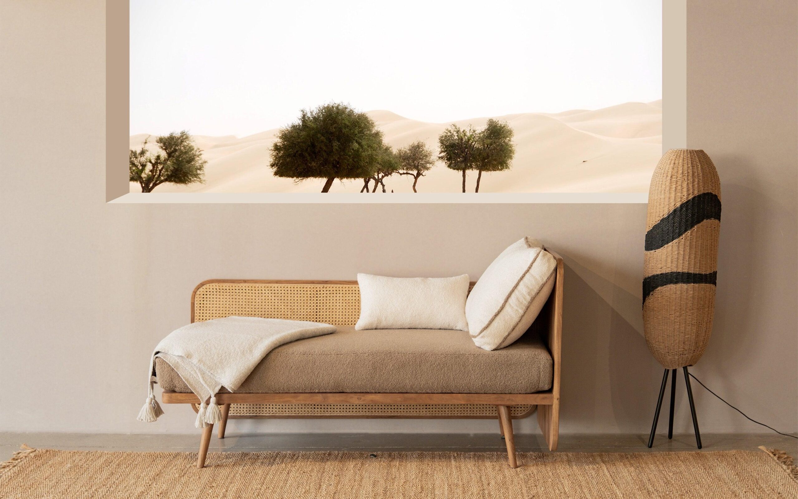 Modern Cane Bench in Teak Wood with Rattan Cane and Upholstered Seat