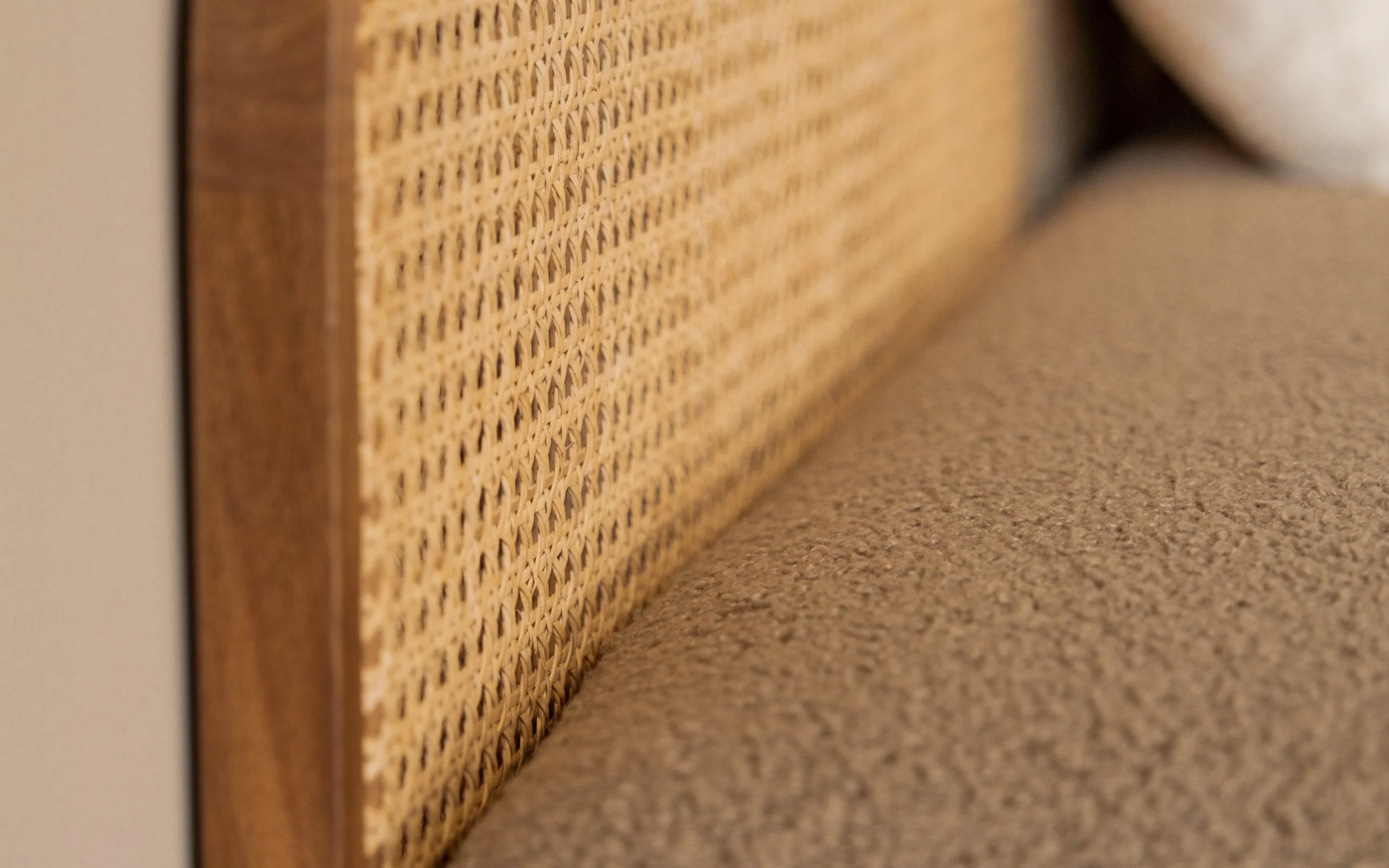 Modern Cane Bench in Teak Wood with Rattan Cane and Upholstered Seat